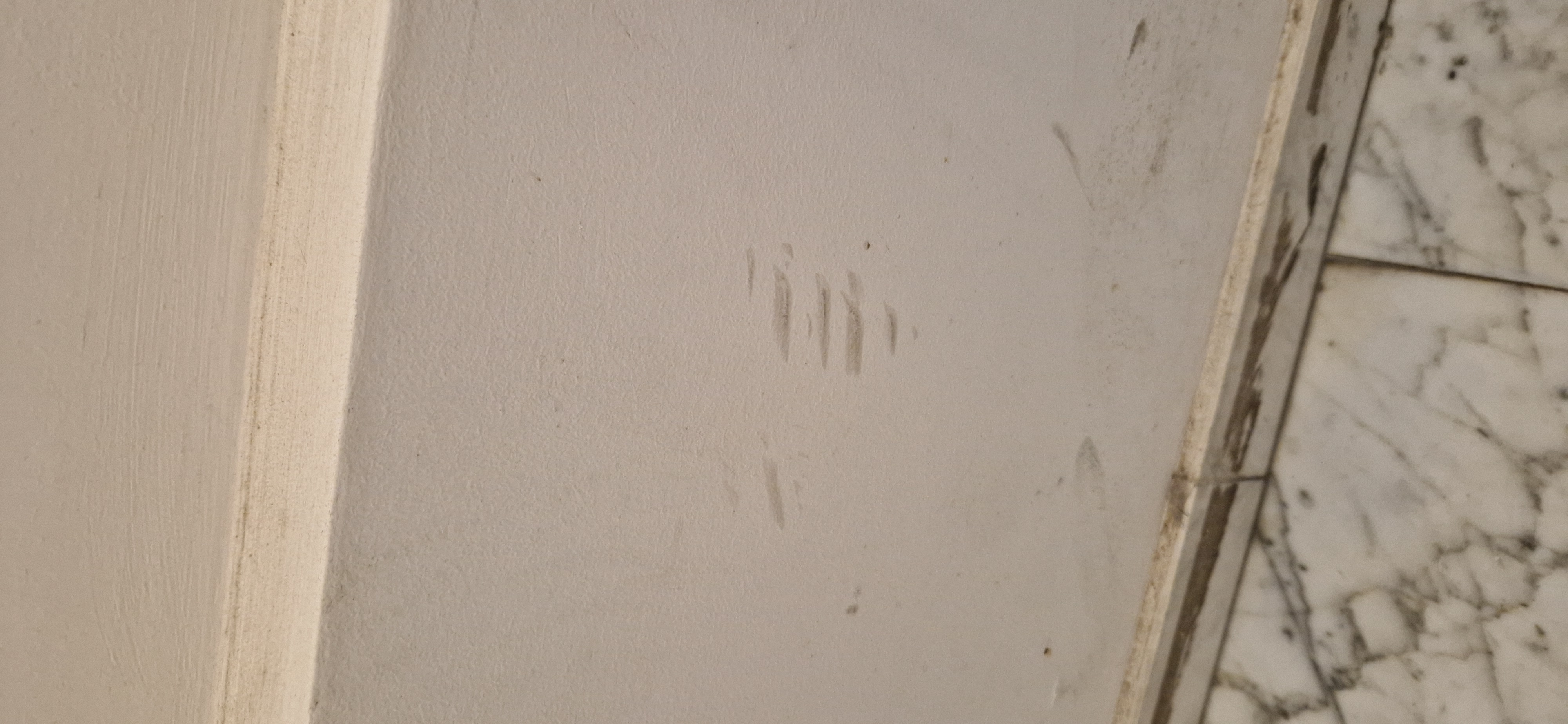 Peinture intérieure — Chantier 01 — Avant